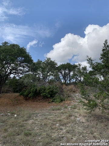 1916 Split Mountain Canyon Lake TX 78133