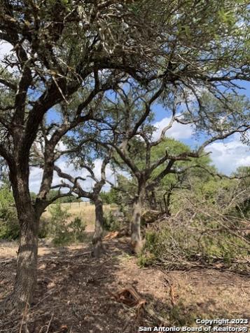 1916 Split Mountain Canyon Lake TX 78133