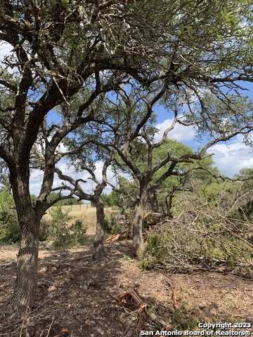 1916 Split Mountain Canyon Lake TX 78133