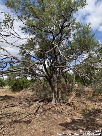 1916 Split Mountain Canyon Lake TX 78133