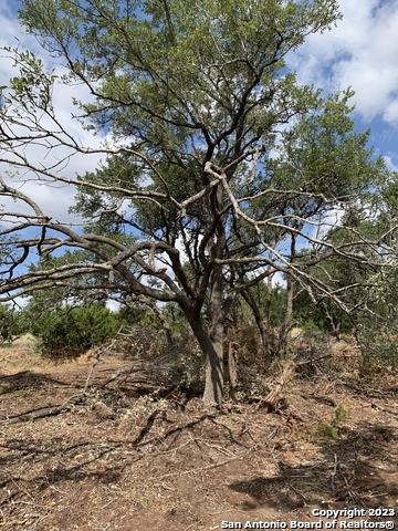 1916 Split Mountain Canyon Lake TX 78133