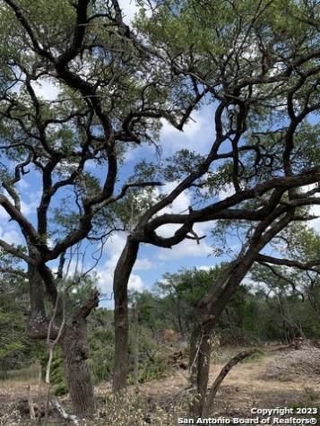1916 Split Mountain Canyon Lake TX 78133