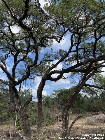 1916 Split Mountain Canyon Lake TX 78133