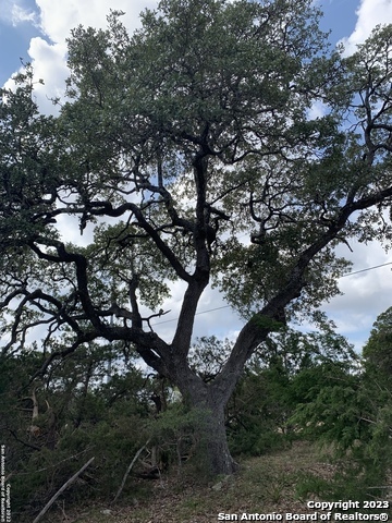 1916 Split Mountain Canyon Lake TX 78133