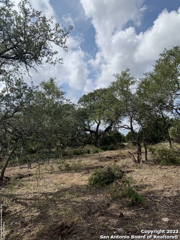 1916 Split Mountain Canyon Lake TX 78133