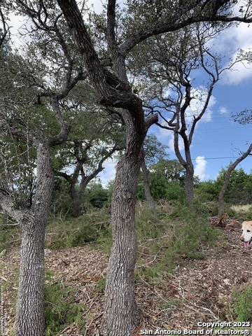 1916 Split Mountain Canyon Lake TX 78133