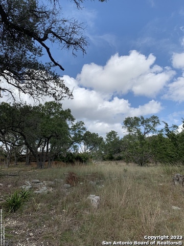 1916 Split Mountain Canyon Lake TX 78133