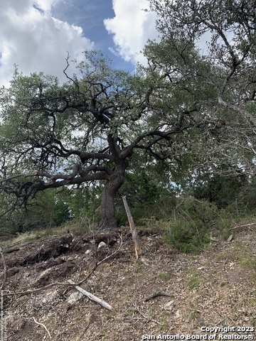 1916 Split Mountain Canyon Lake TX 78133