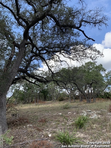 1916 Split Mountain Canyon Lake TX 78133