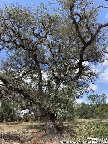1916 Split Mountain Canyon Lake TX 78133