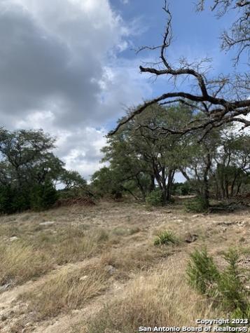 1916 Split Mountain Canyon Lake TX 78133