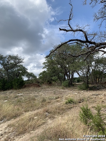 1916 Split Mountain Canyon Lake TX 78133