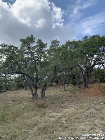 1916 Split Mountain Canyon Lake TX 78133