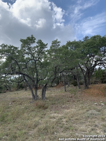 1916 Split Mountain Canyon Lake TX 78133