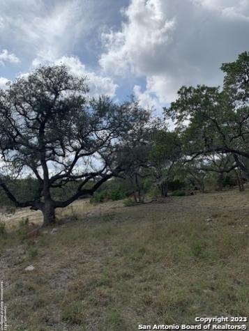 1916 Split Mountain Canyon Lake TX 78133