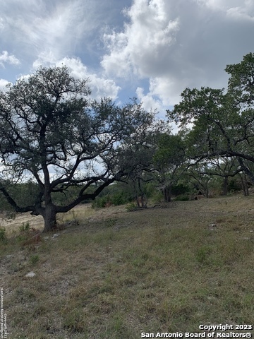 1916 Split Mountain Canyon Lake TX 78133
