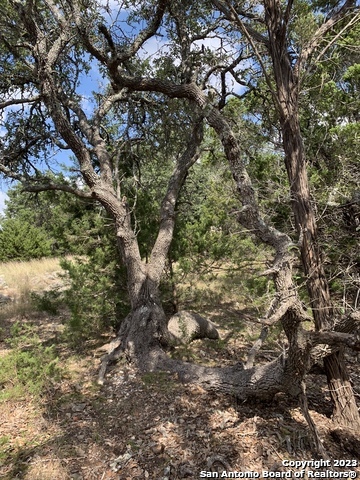 1916 Split Mountain Canyon Lake TX 78133
