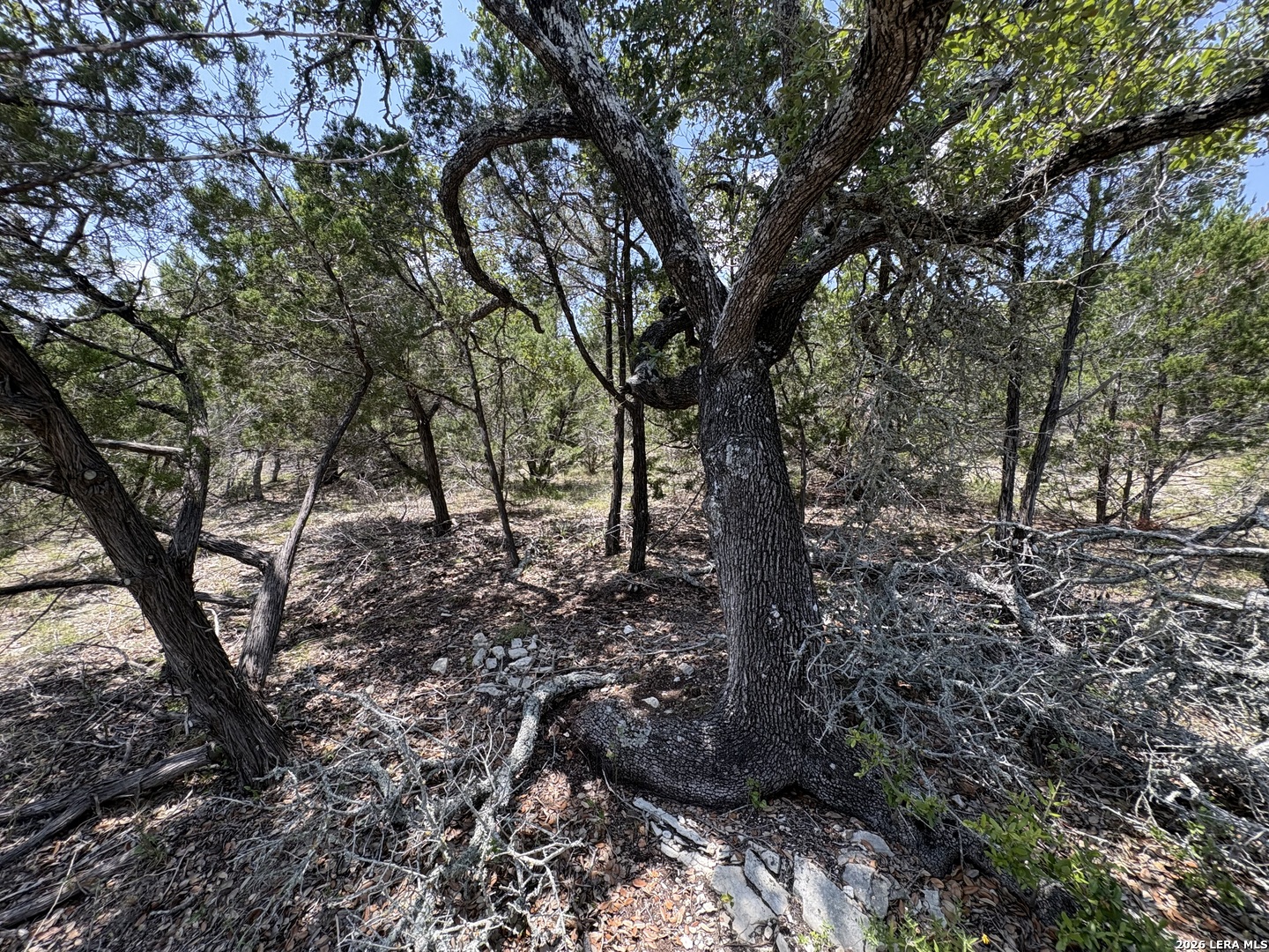 564 (LOT 2000) Rock Trail Place Spring Branch TX 78070