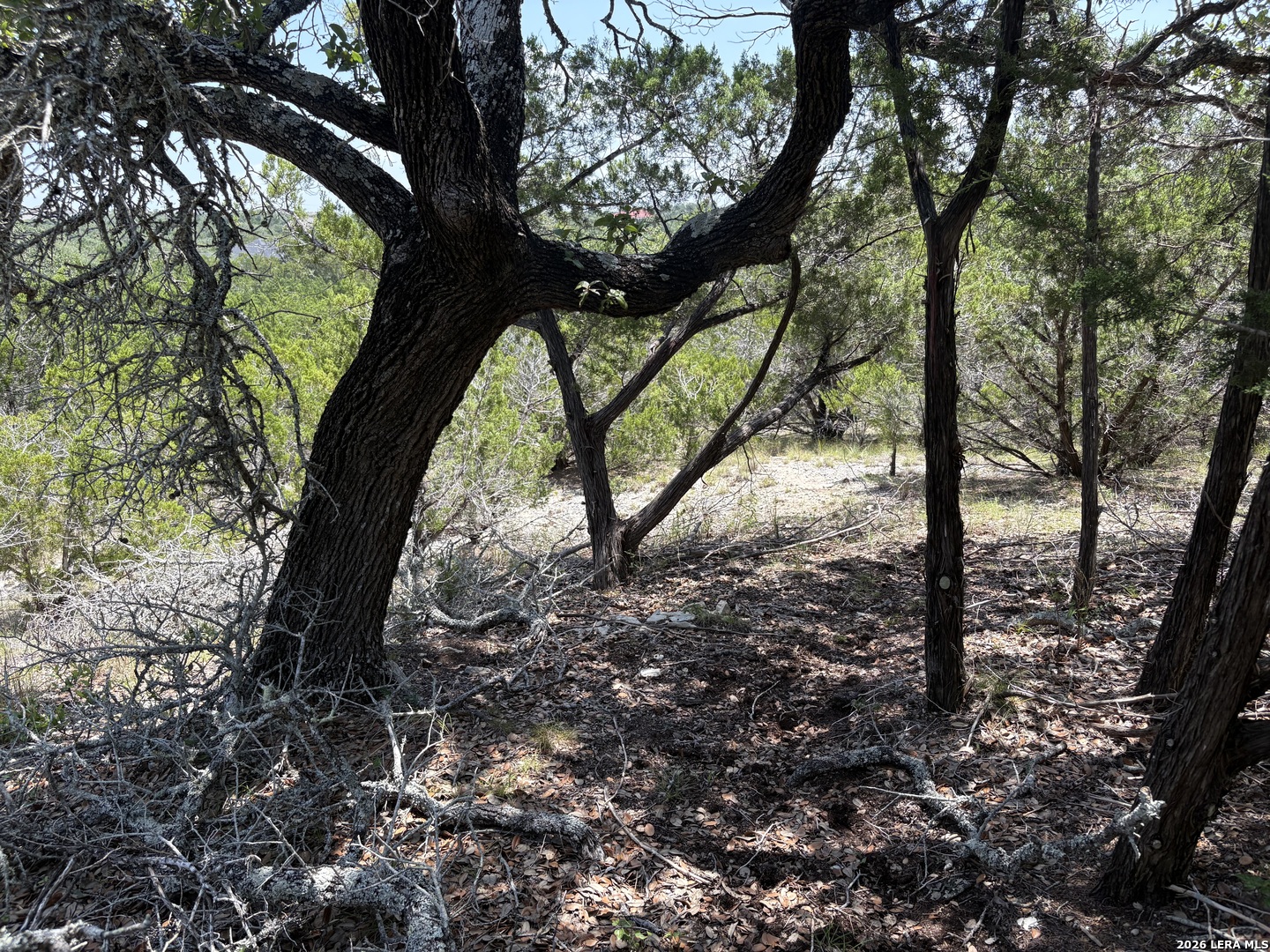 564 (LOT 2000) Rock Trail Place Spring Branch TX 78070