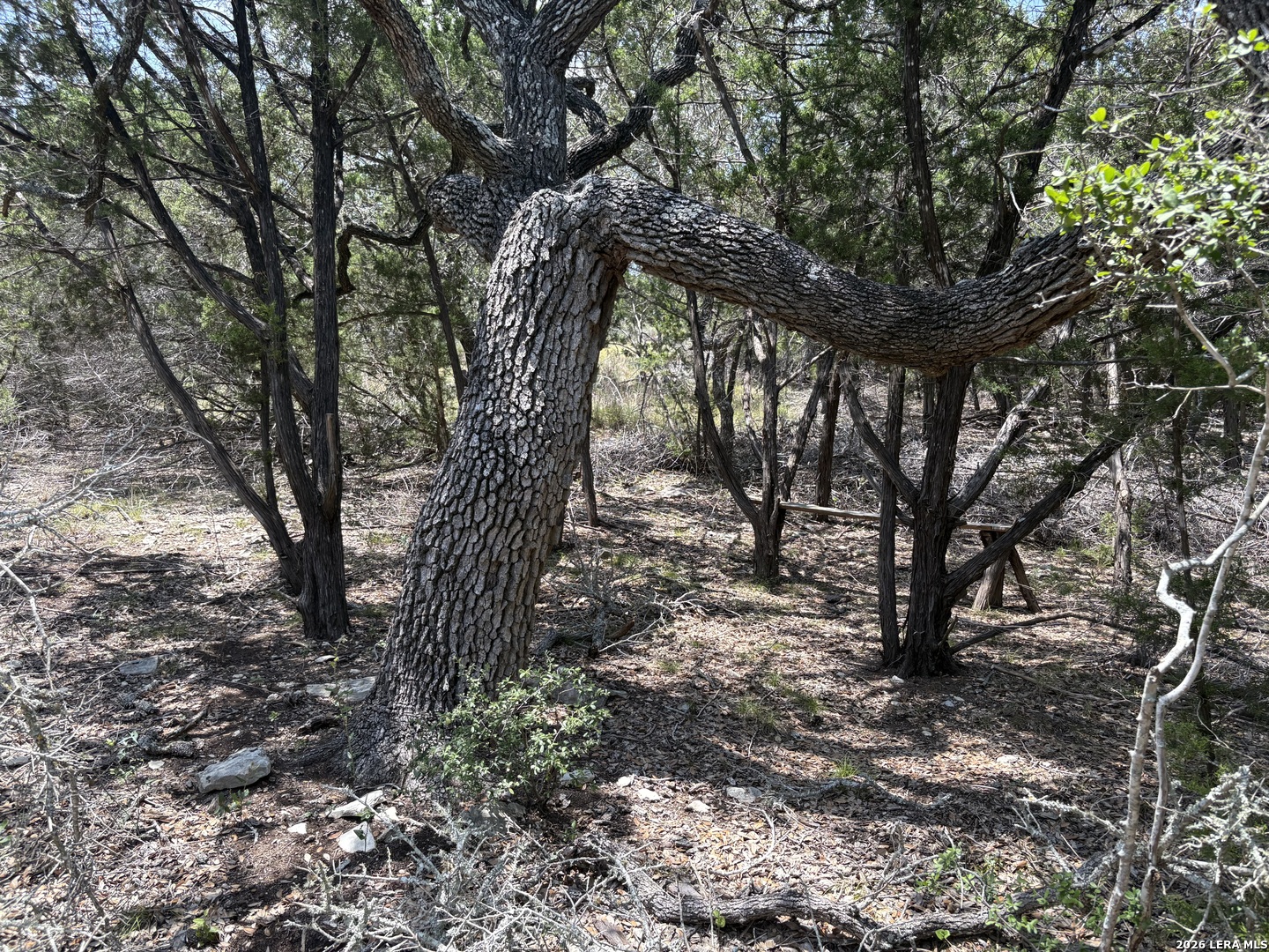 564 (LOT 2000) Rock Trail Place Spring Branch TX 78070