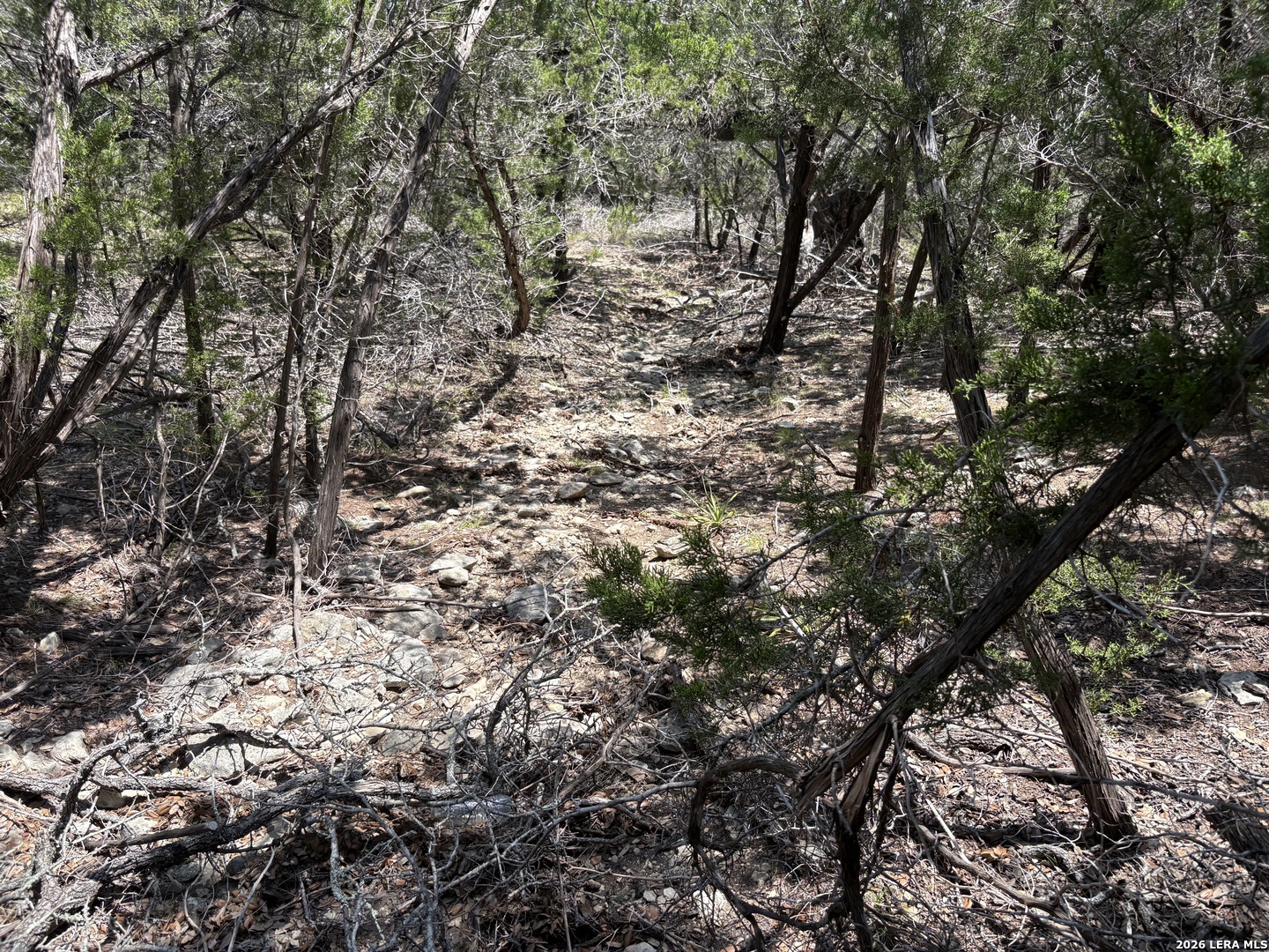 564 (LOT 2000) Rock Trail Place Spring Branch TX 78070
