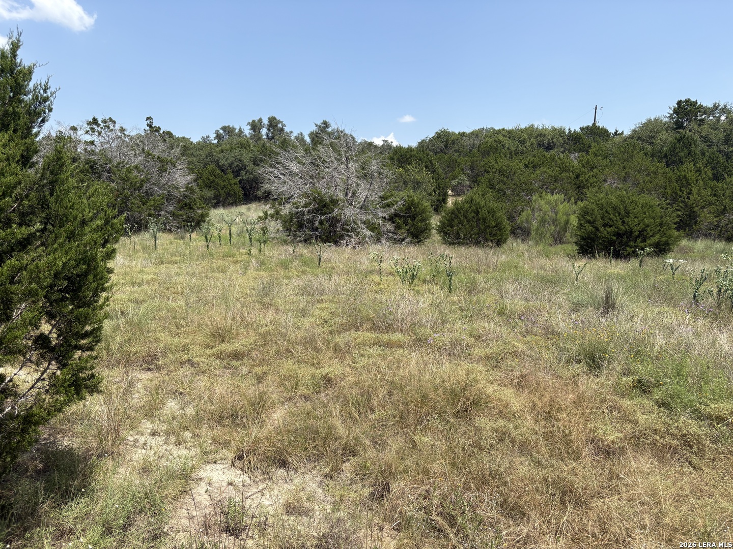 564 (LOT 2000) Rock Trail Place Spring Branch TX 78070