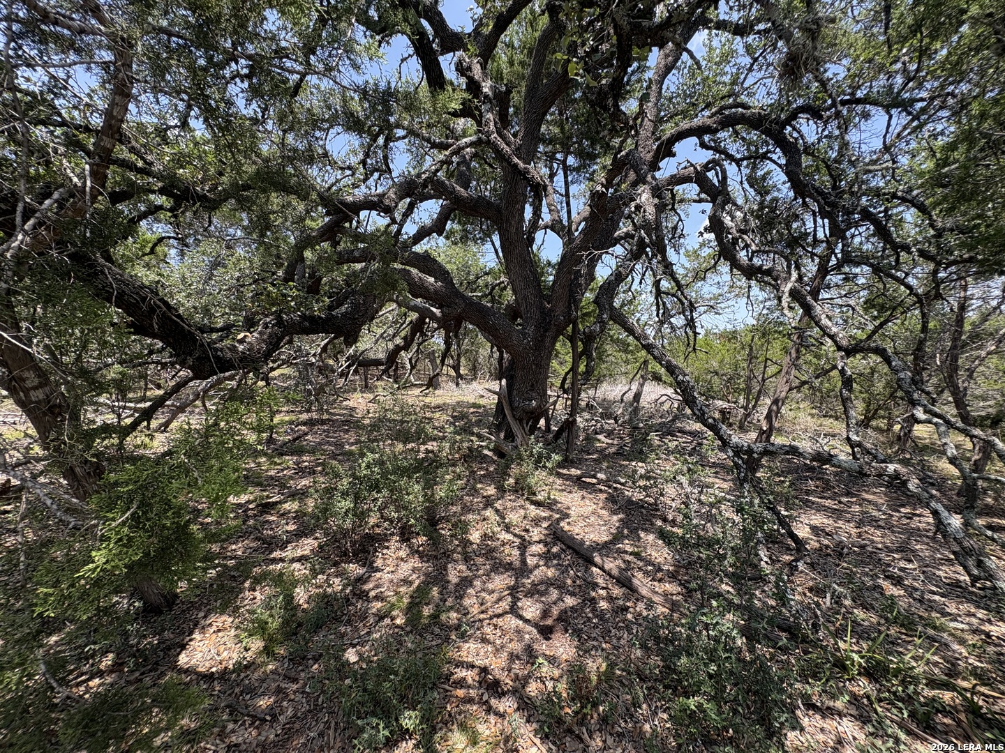 564 (LOT 2000) Rock Trail Place Spring Branch TX 78070