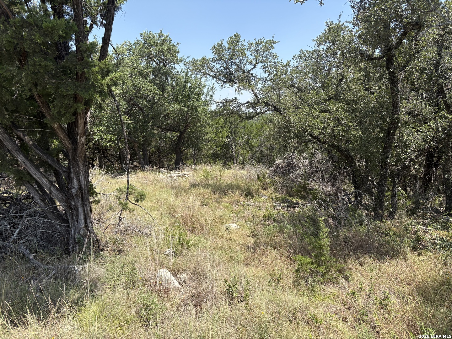 564 (LOT 2000) Rock Trail Place Spring Branch TX 78070