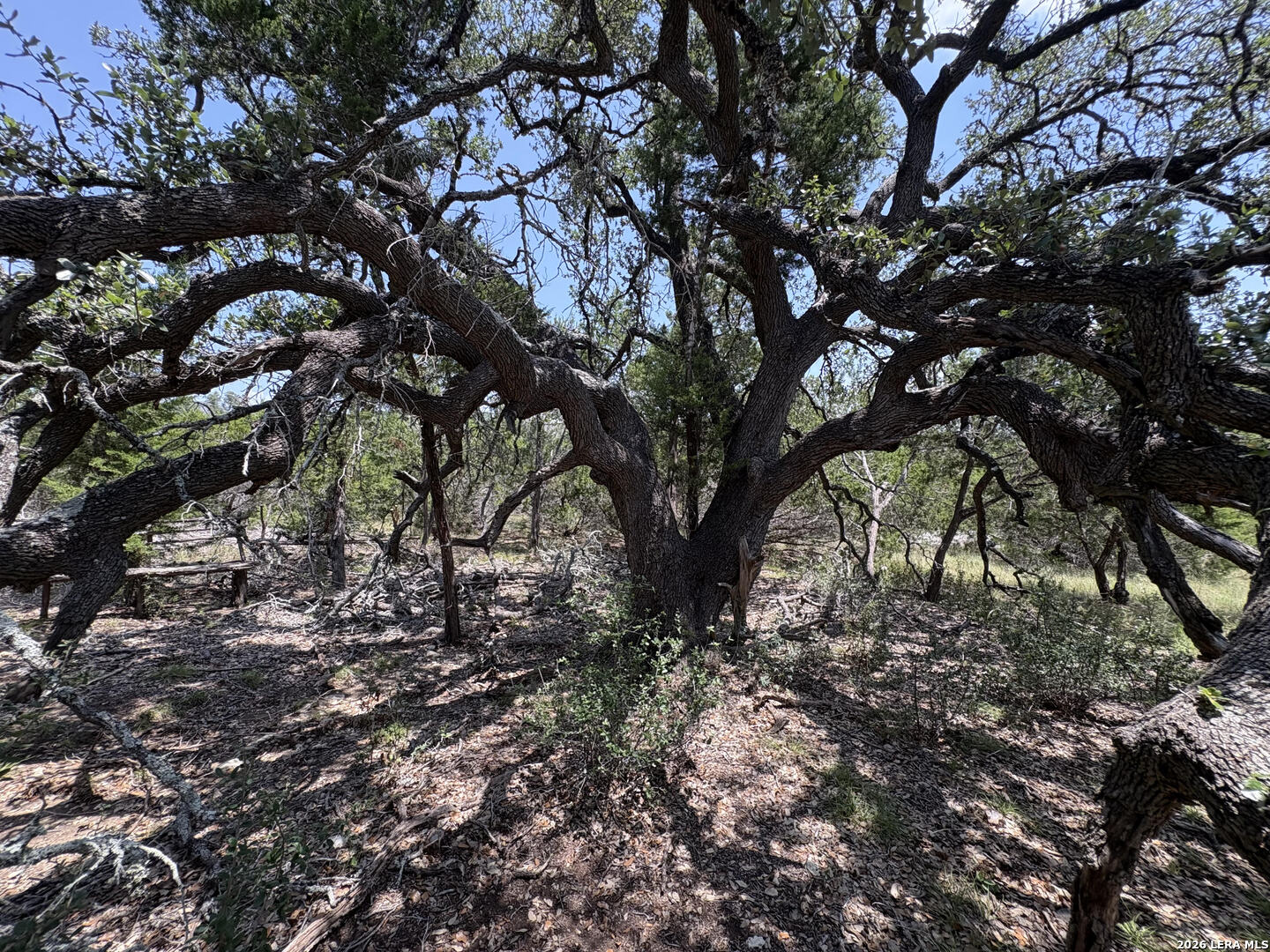 564 (LOT 2000) Rock Trail Place Spring Branch TX 78070