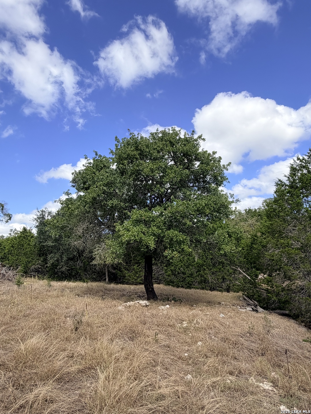 0 Vanguard Ridge Road Fredericksburg TX 78624