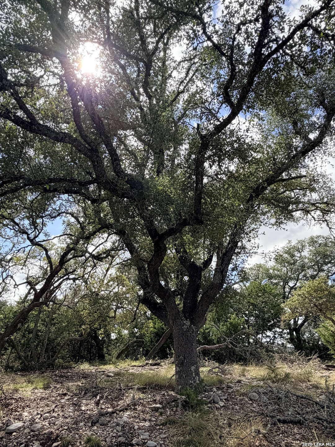 0 Vanguard Ridge Road Fredericksburg TX 78624