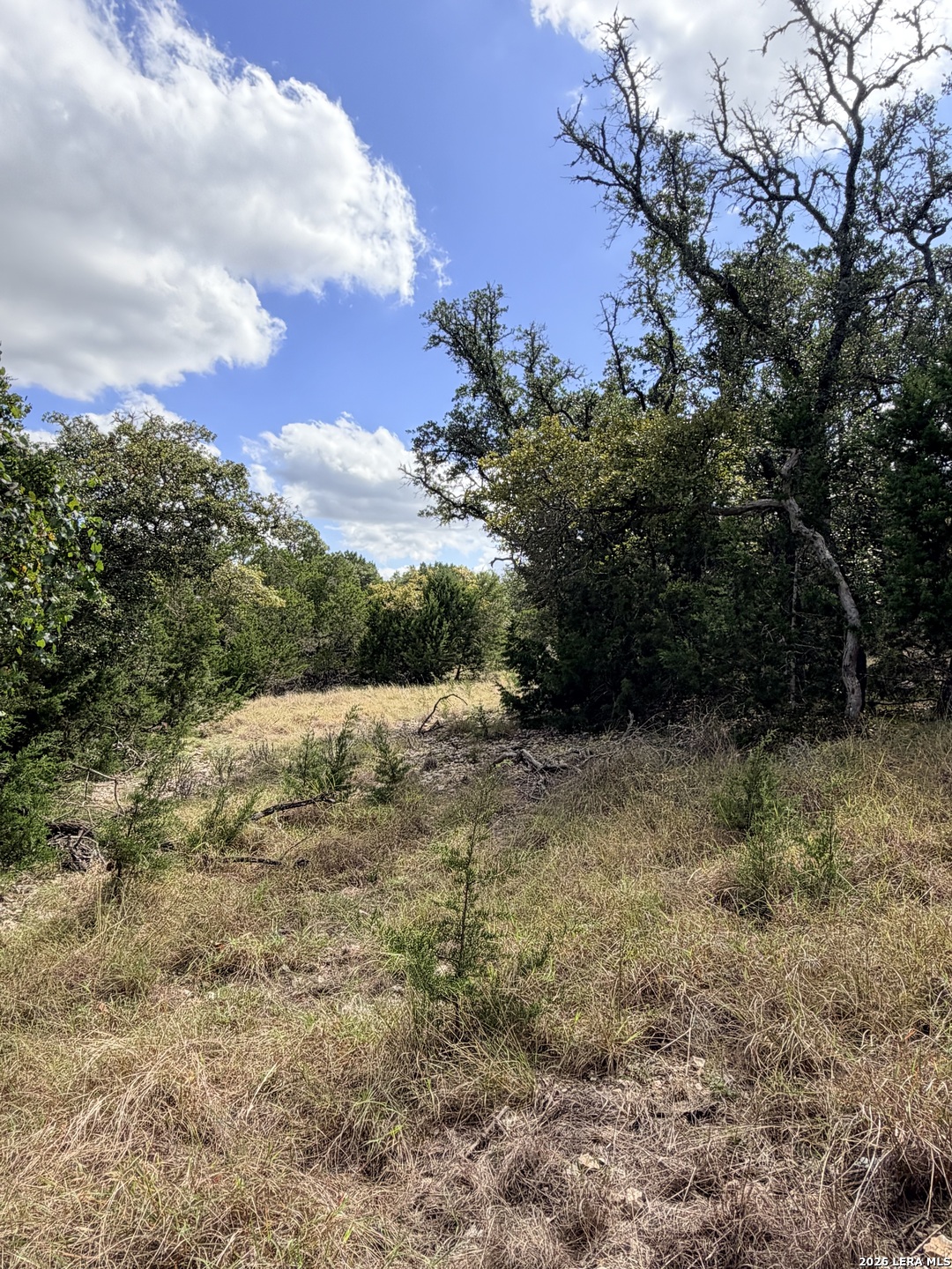 0 Vanguard Ridge Road Fredericksburg TX 78624