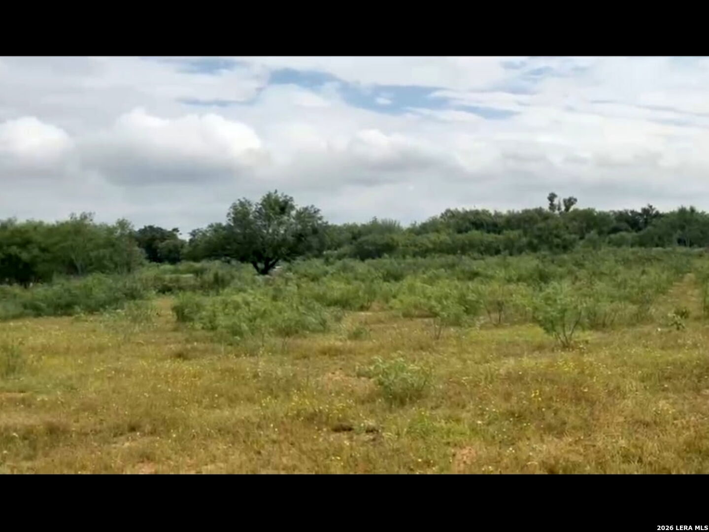 13808-III Greenwood Road Atascosa TX 78002