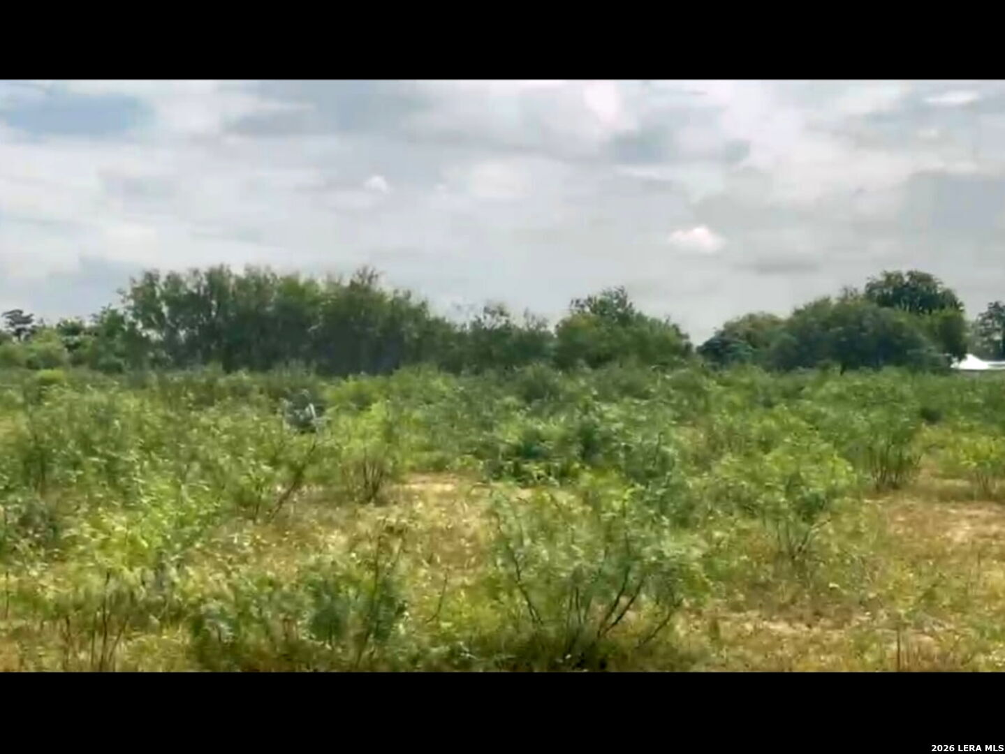 13808-III Greenwood Road Atascosa TX 78002