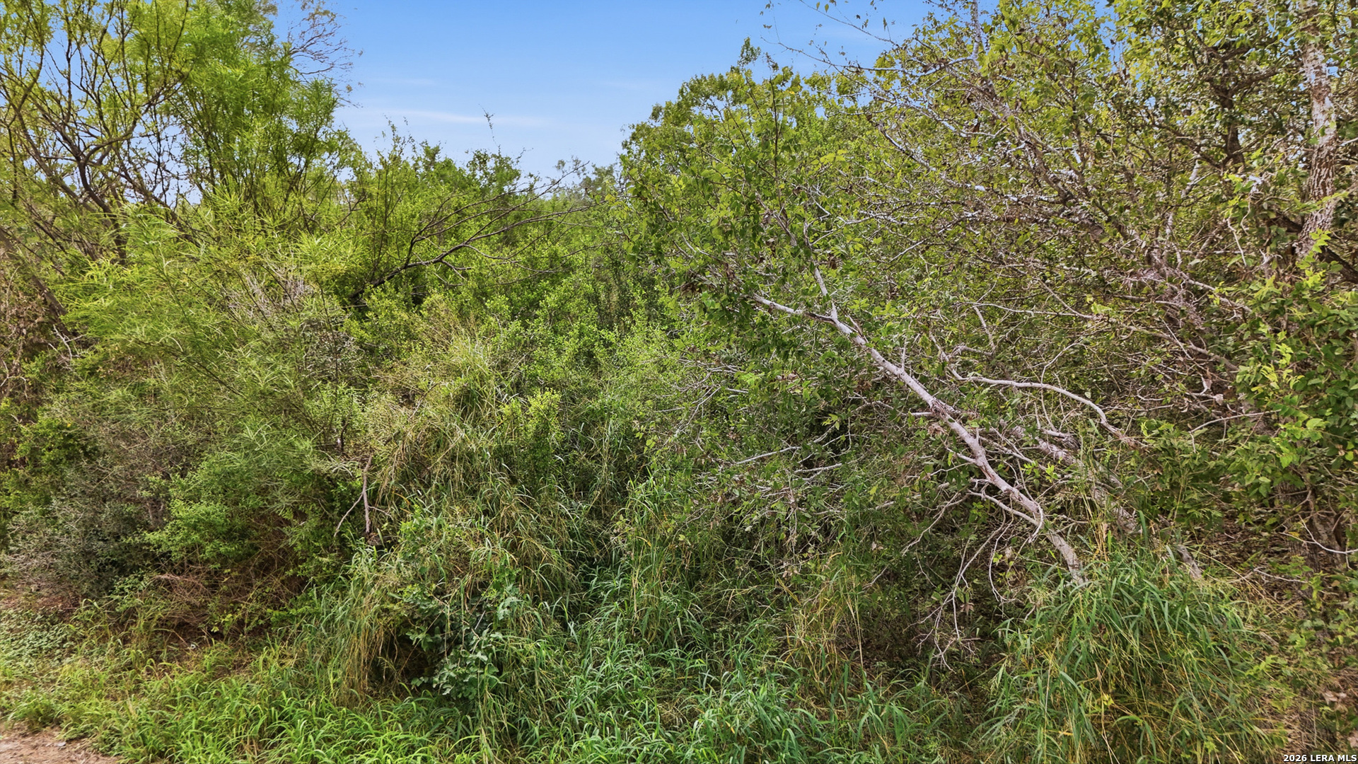 0 State Highway 72 Kenedy TX 78119