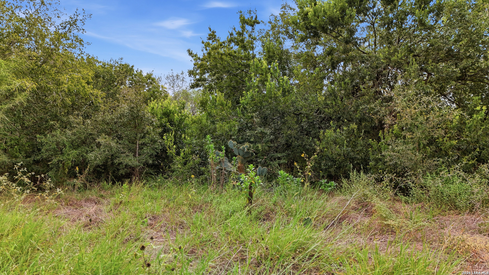 0 State Highway 72 Kenedy TX 78119