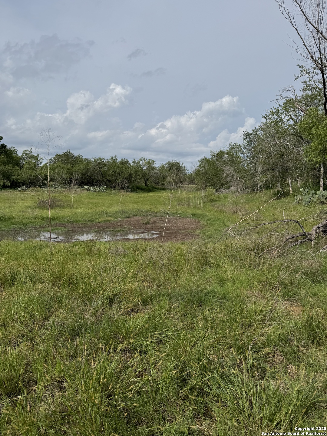 Tbd E Gates Valley Poteet TX 78065