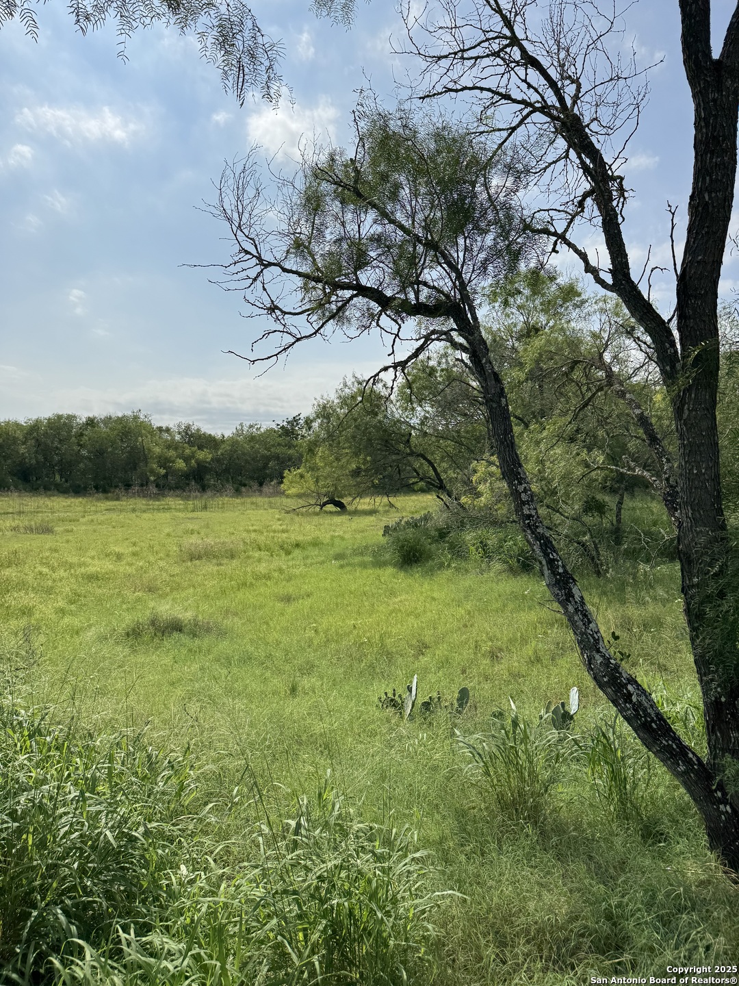 Tbd E Gates Valley Poteet TX 78065