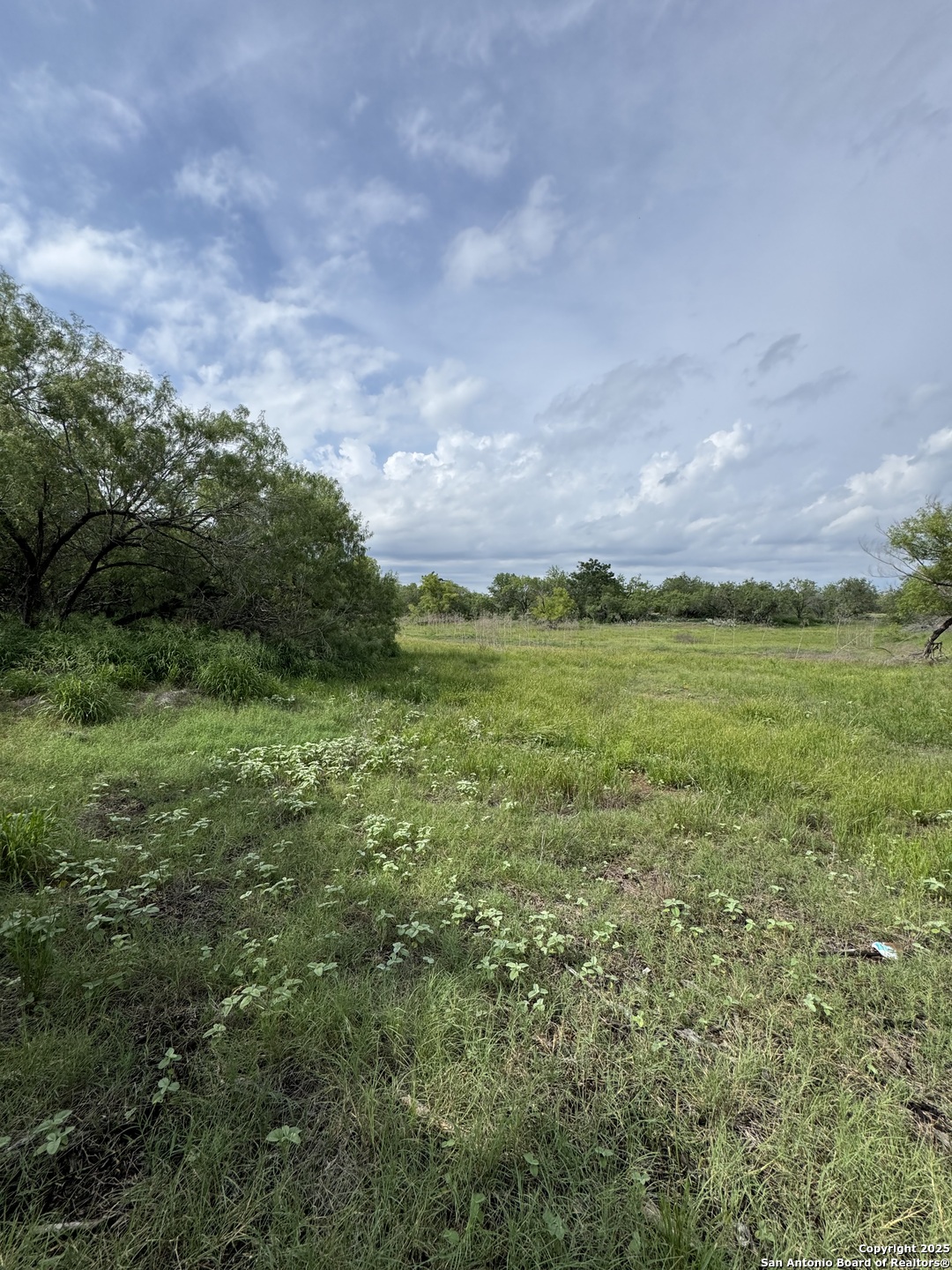 Tbd E Gates Valley Poteet TX 78065