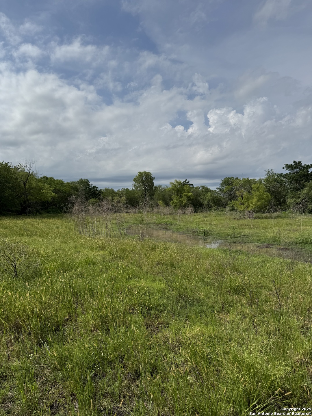 Tbd E Gates Valley Poteet TX 78065