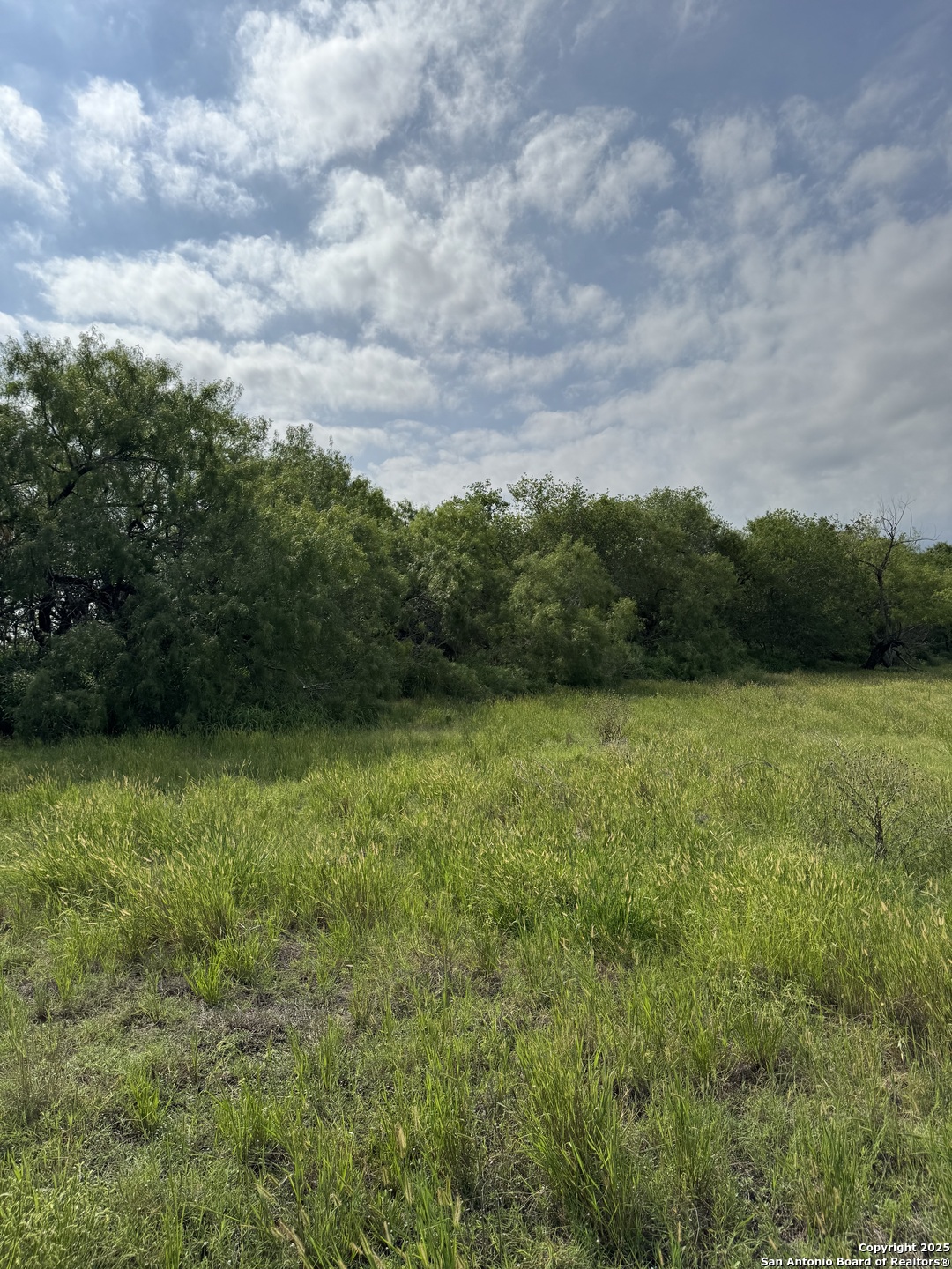 Tbd E Gates Valley Poteet TX 78065