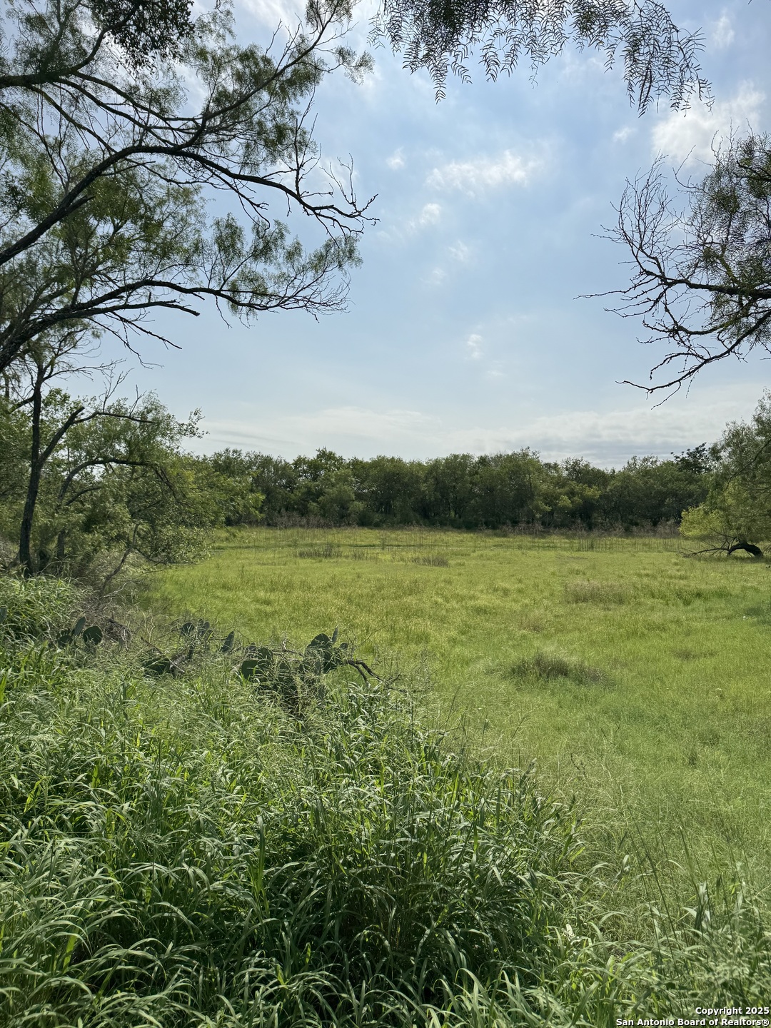 Tbd E Gates Valley Poteet TX 78065