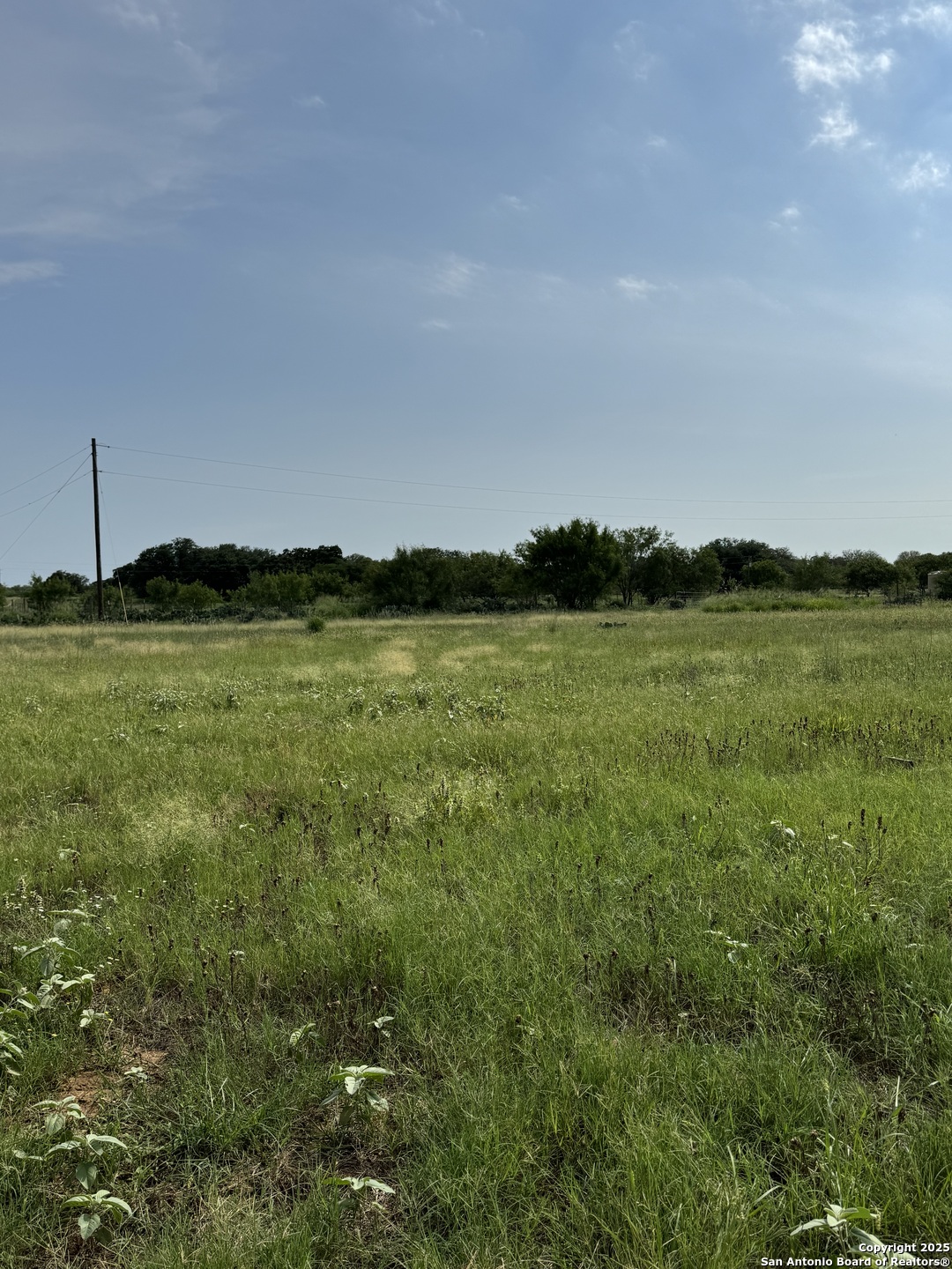 Tbd E Gates Valley Poteet TX 78065
