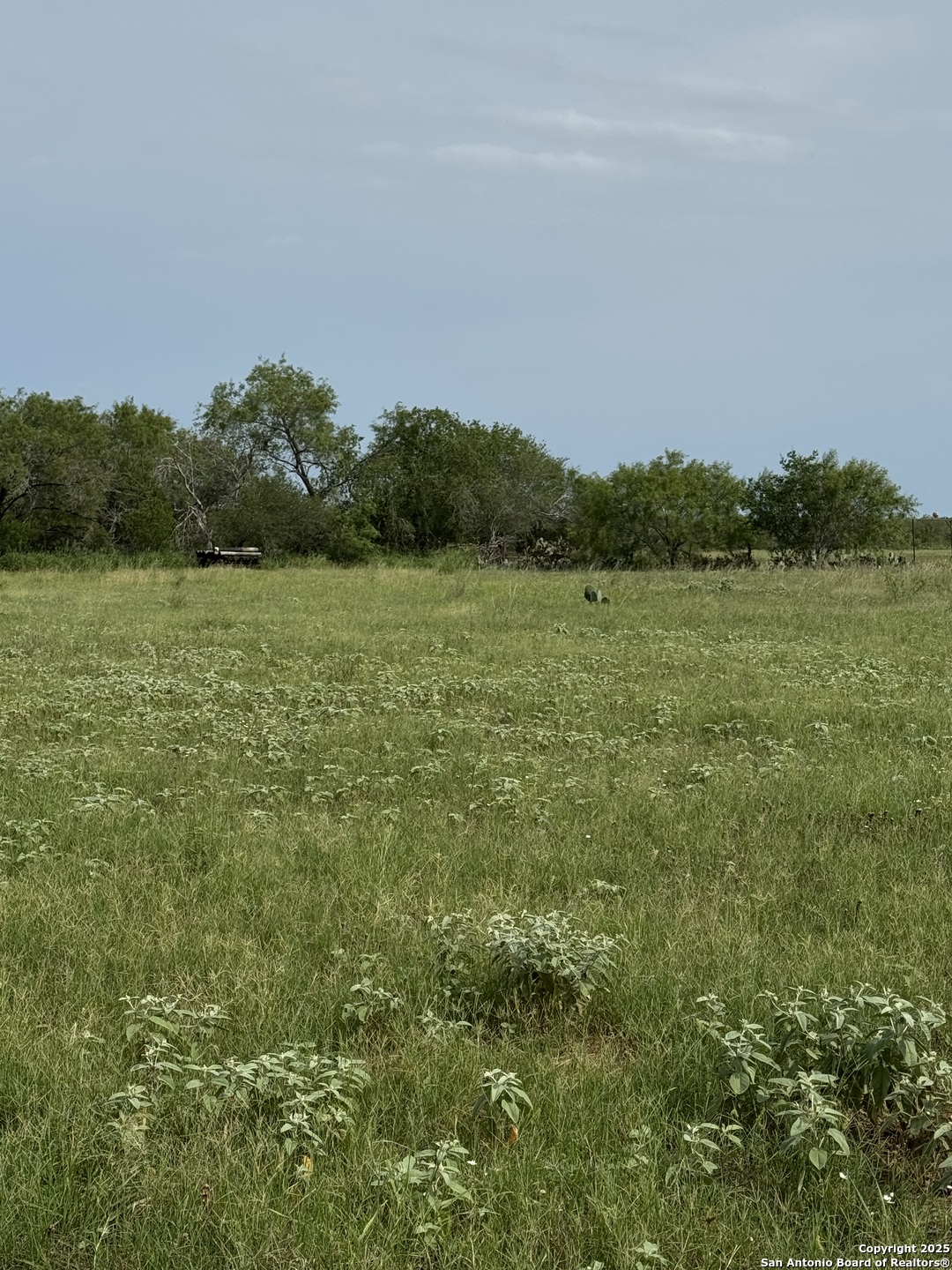 Tbd E Gates Valley Poteet TX 78065