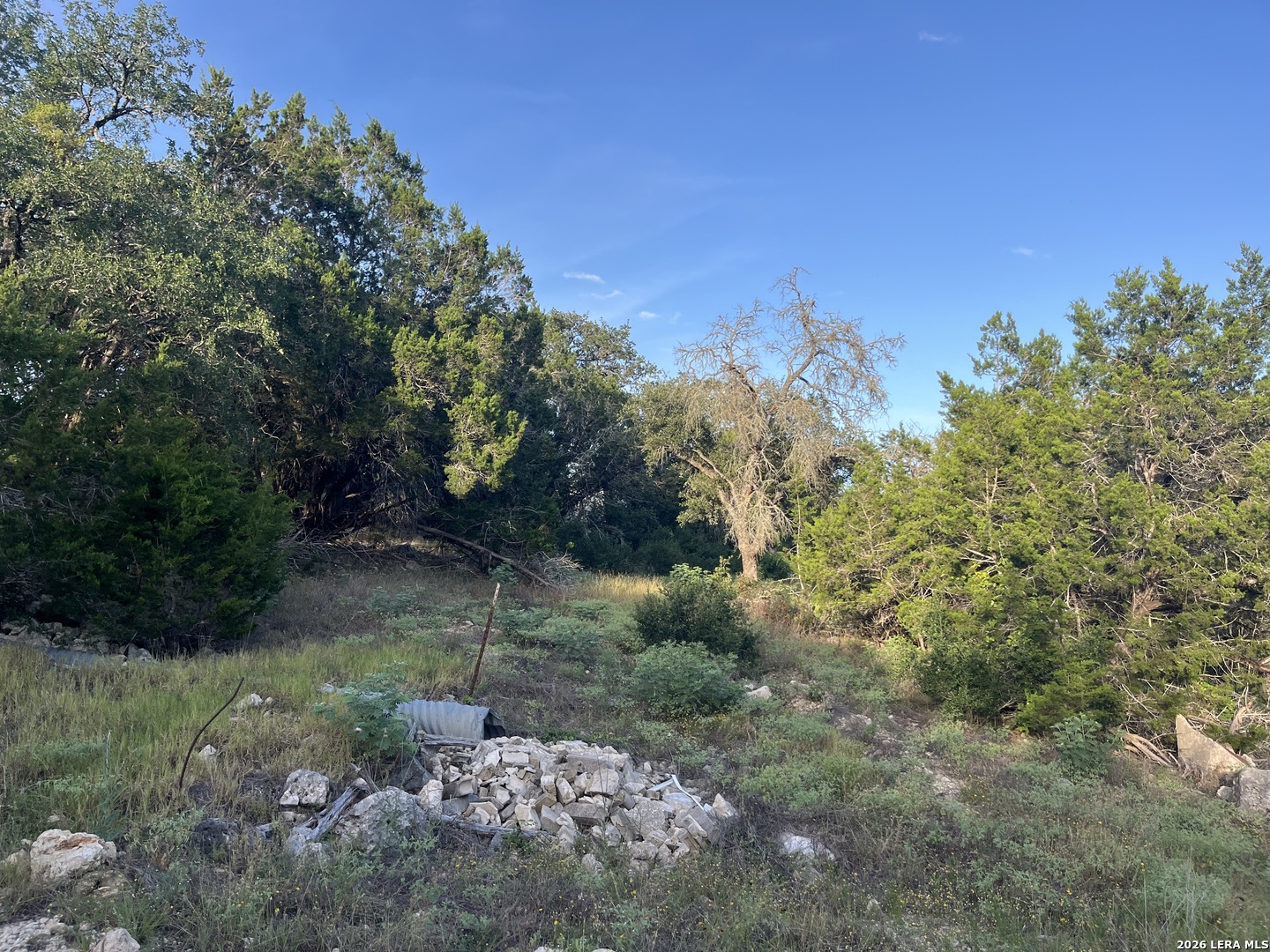 1615 Forest Lake Spring Branch TX 78070