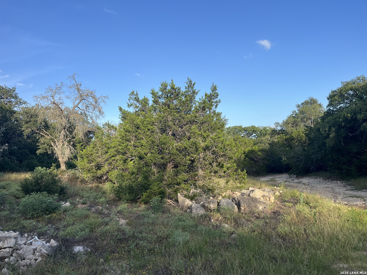 1615 Forest Lake Spring Branch TX 78070