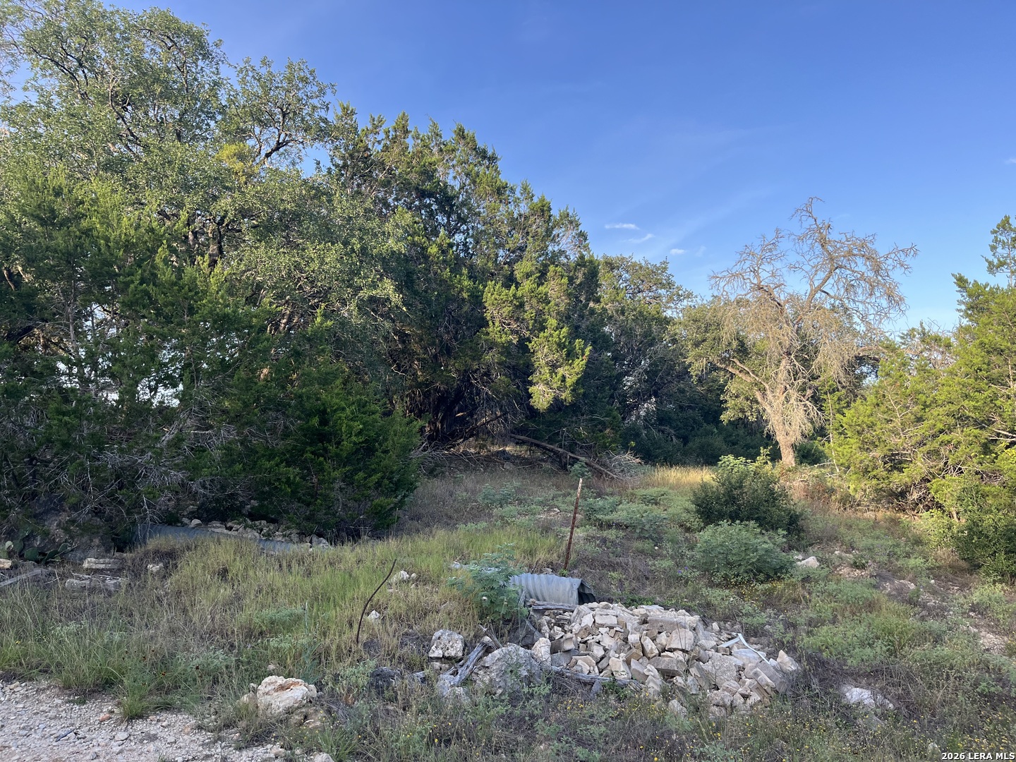 1615 Forest Lake Spring Branch TX 78070