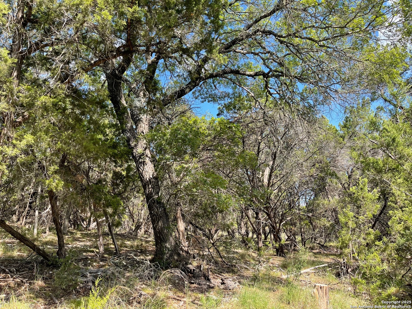 Lots 1-7 Park Road 37 Lakehills TX 78063