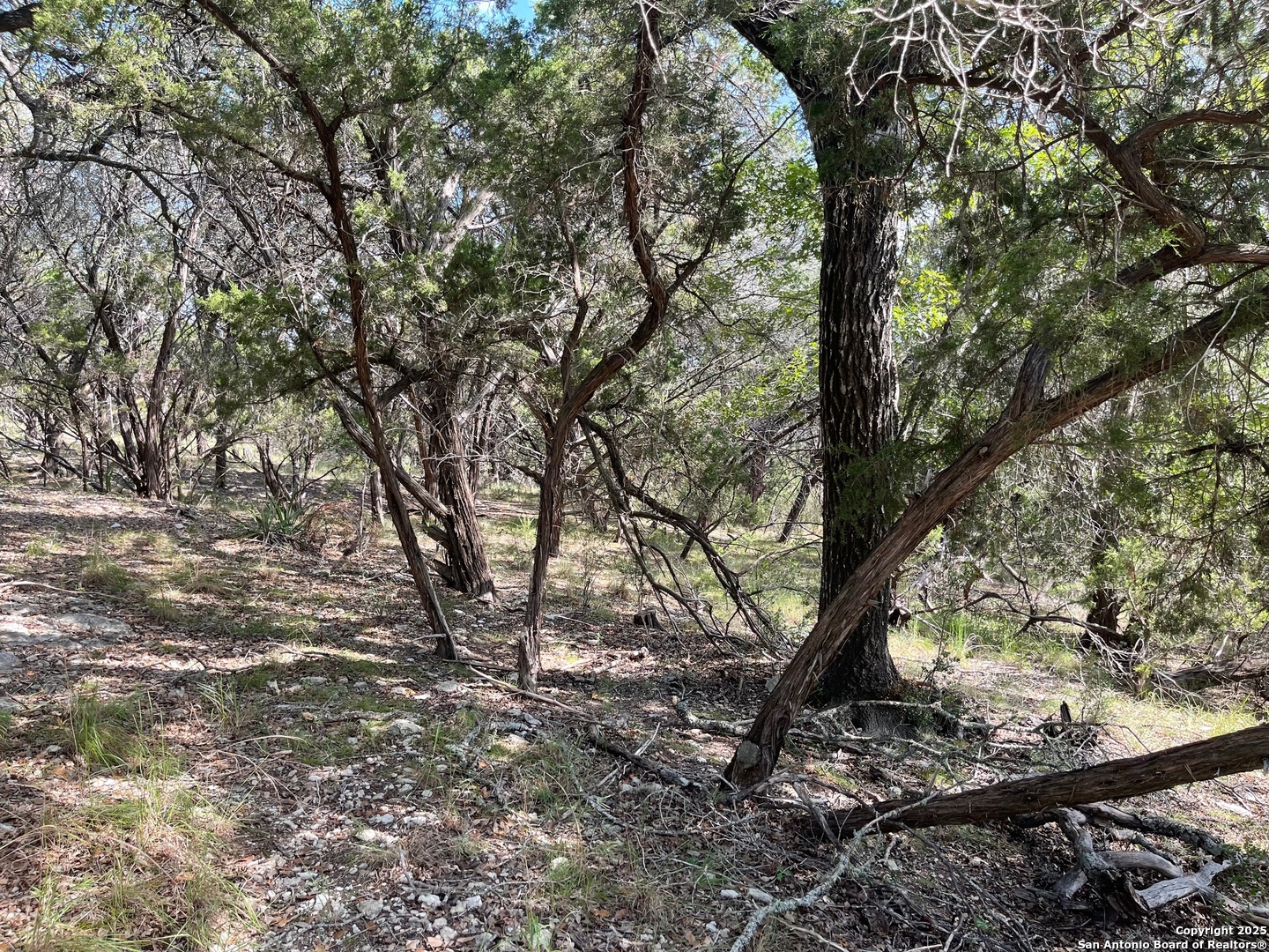 Lots 1-7 Park Road 37 Lakehills TX 78063