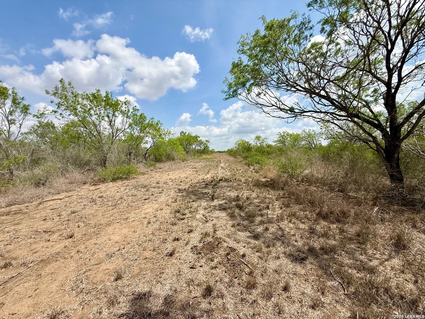 Lot 4 Fm 1332 Jourdanton TX 78026